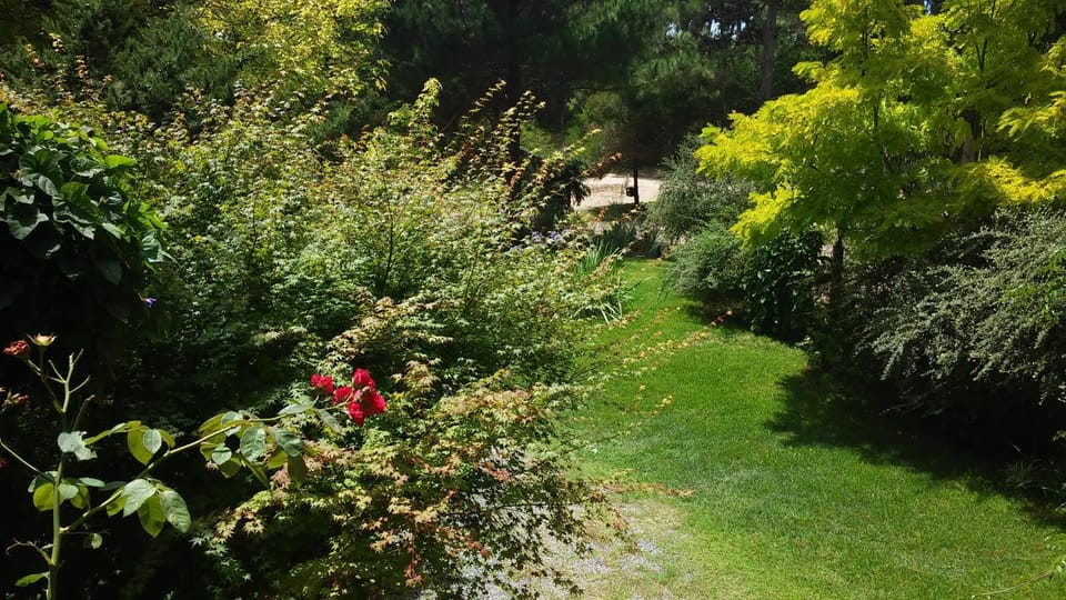 Off site, Garden view