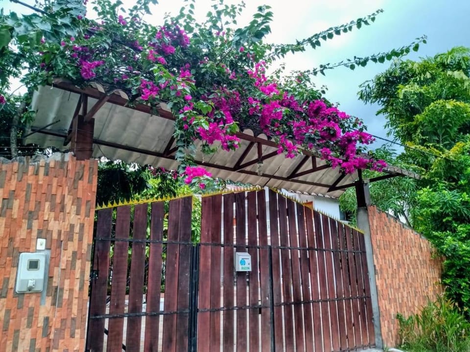 Garden, View (from property/room), Decorative detail