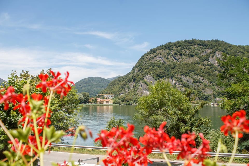 Lake view