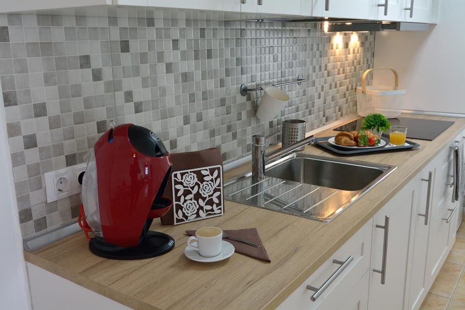 Kitchen or kitchenette, minibar, stove