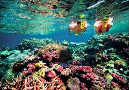 Snorkeling