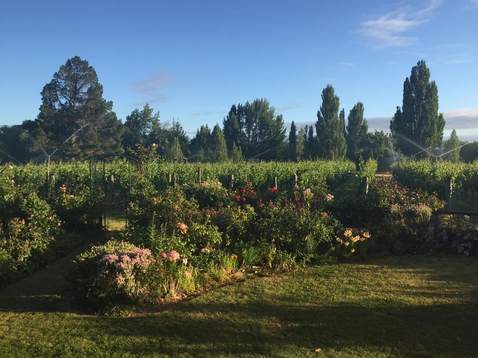 Property building, Garden