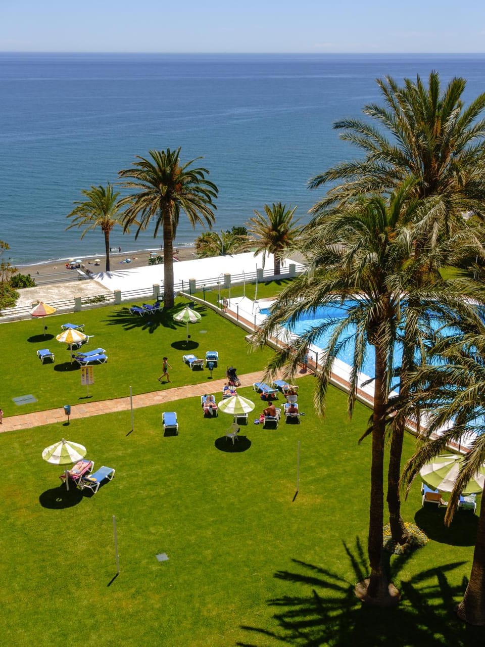 Garden, Swimming pool