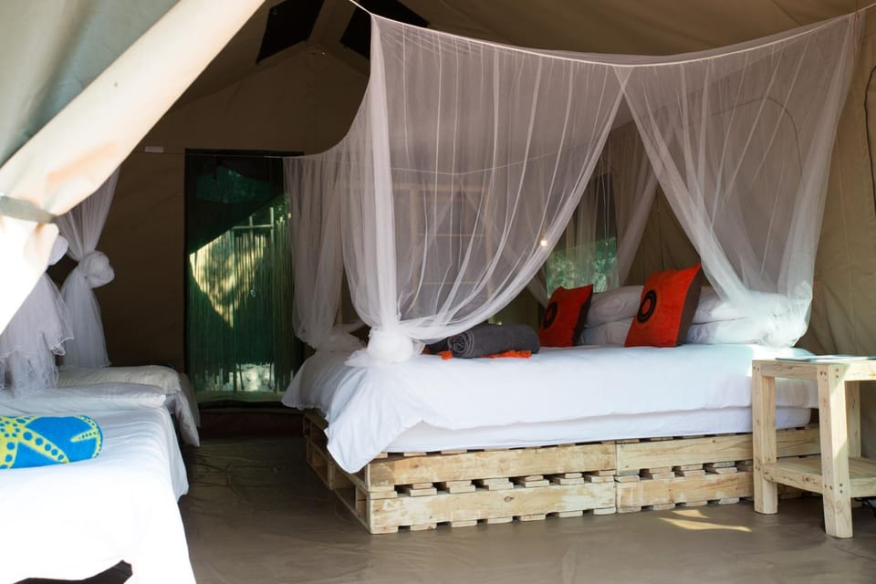 Bed