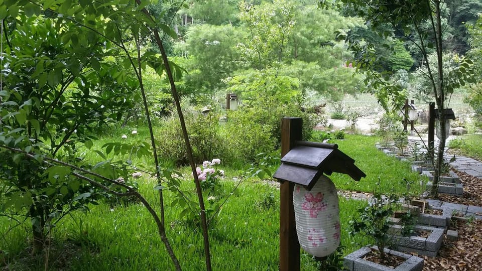 Garden view