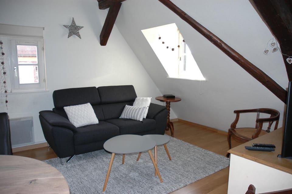 appartement à Colmar Apartment in Colmar