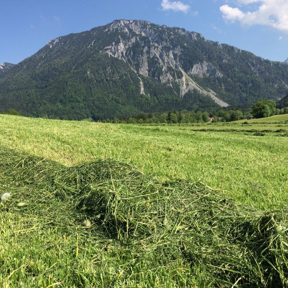 Natural landscape