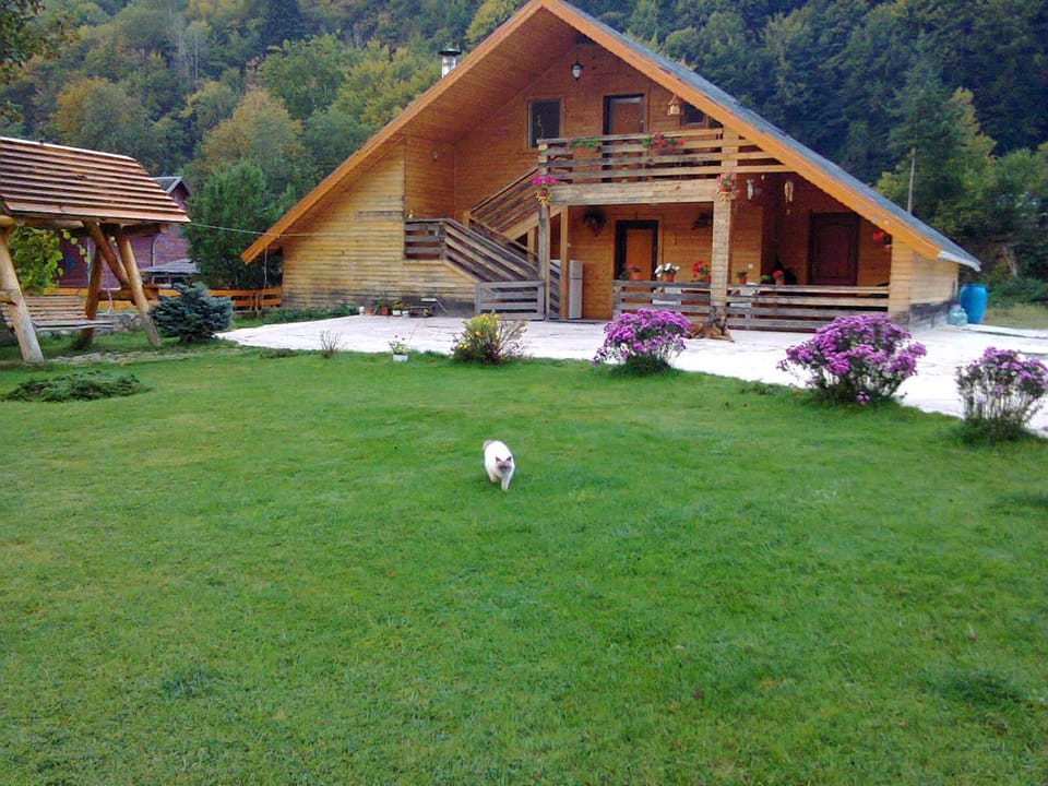 Green Eden Lepsa 2 Bed and Breakfast in Romania