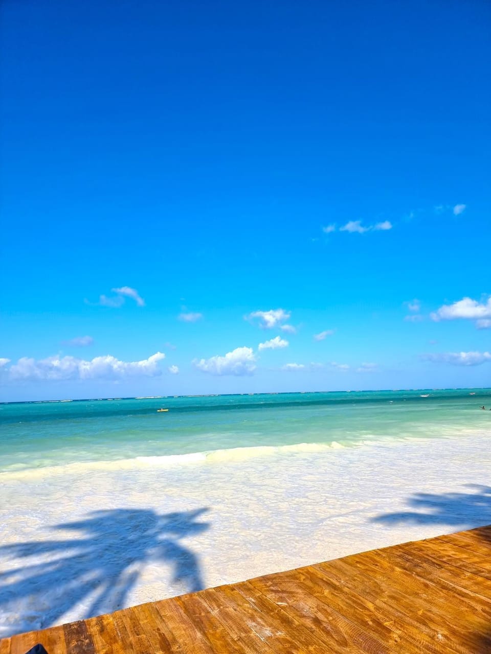 Beach, Swimming pool