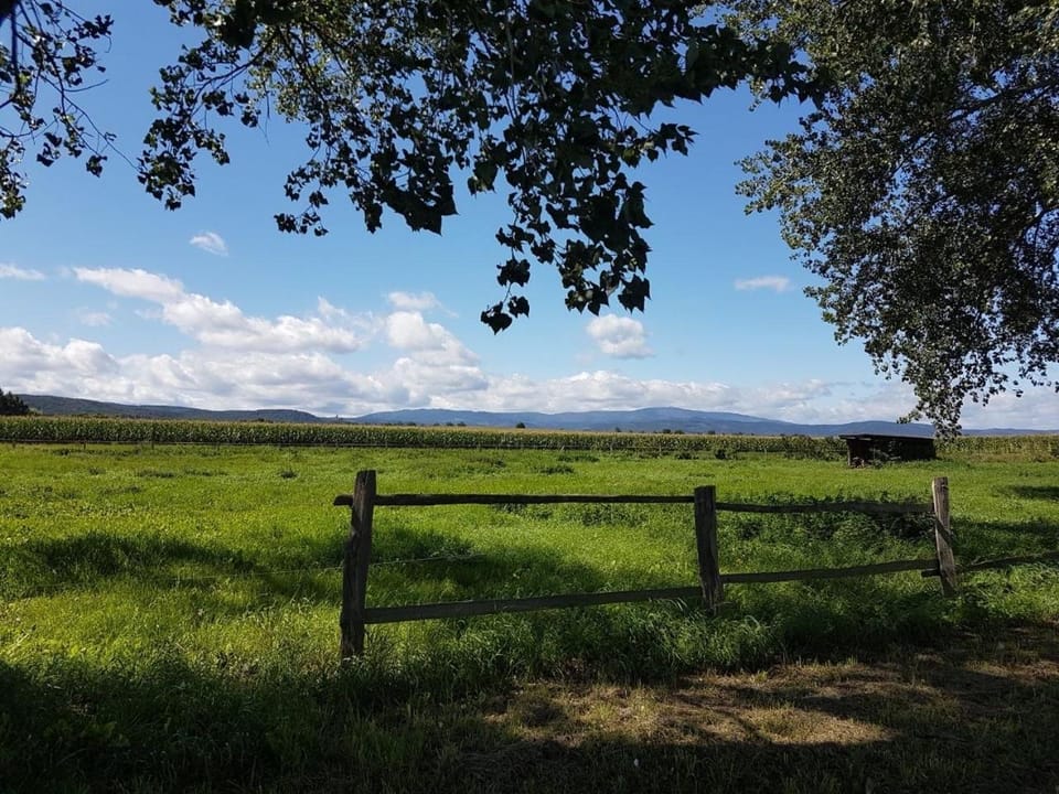 Natural landscape