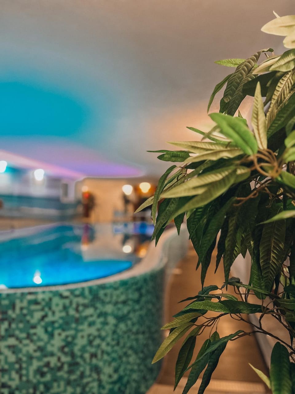 Swimming pool