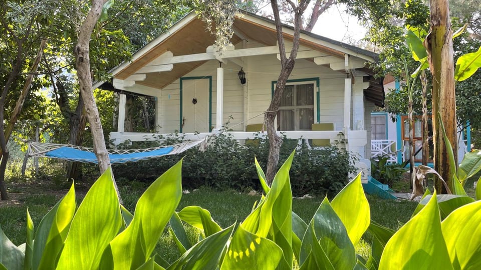 Patio, Facade/entrance, Garden