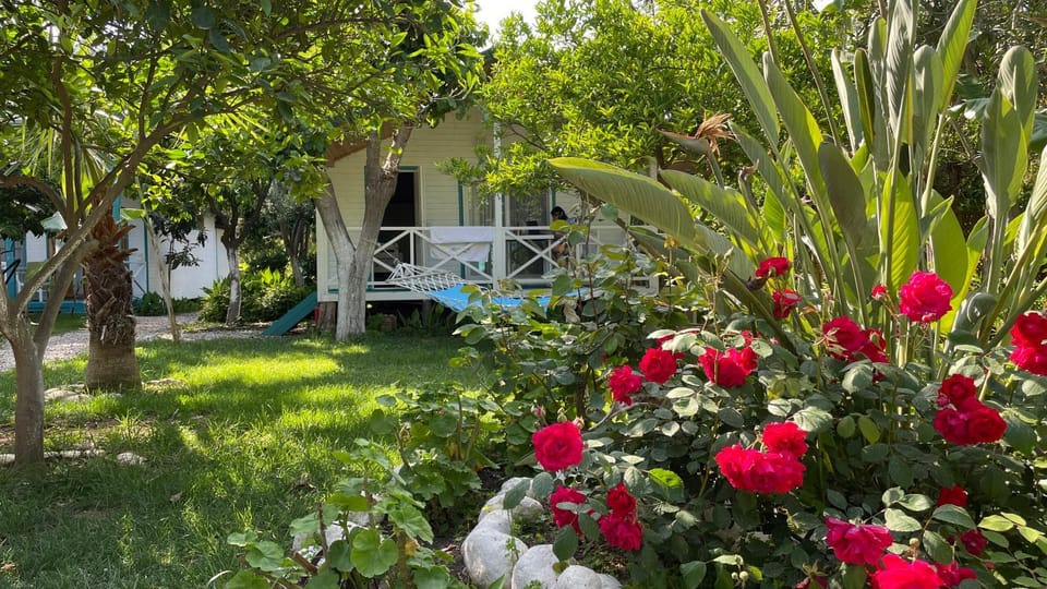 Patio, Facade/entrance, Garden