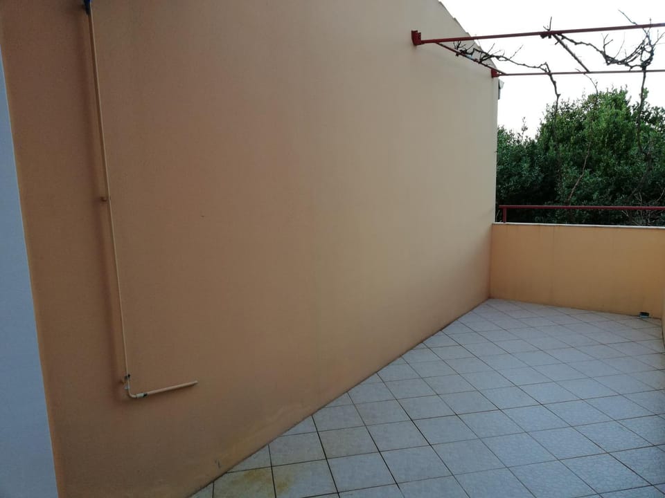 Patio, Garden view