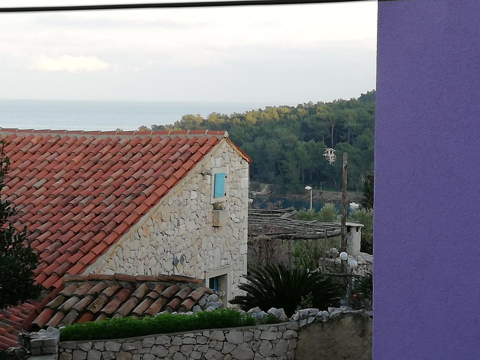 Patio, Garden view
