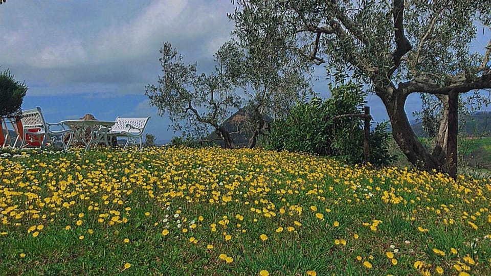 Agriturismo Villa Felice Apartment in Tuscany