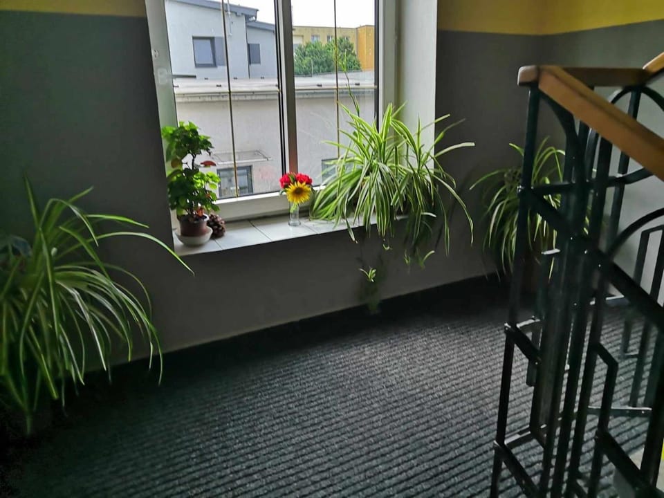 Property building, Area and facilities