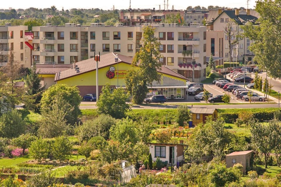 Neighbourhood, Street view, Supermarket/grocery shop