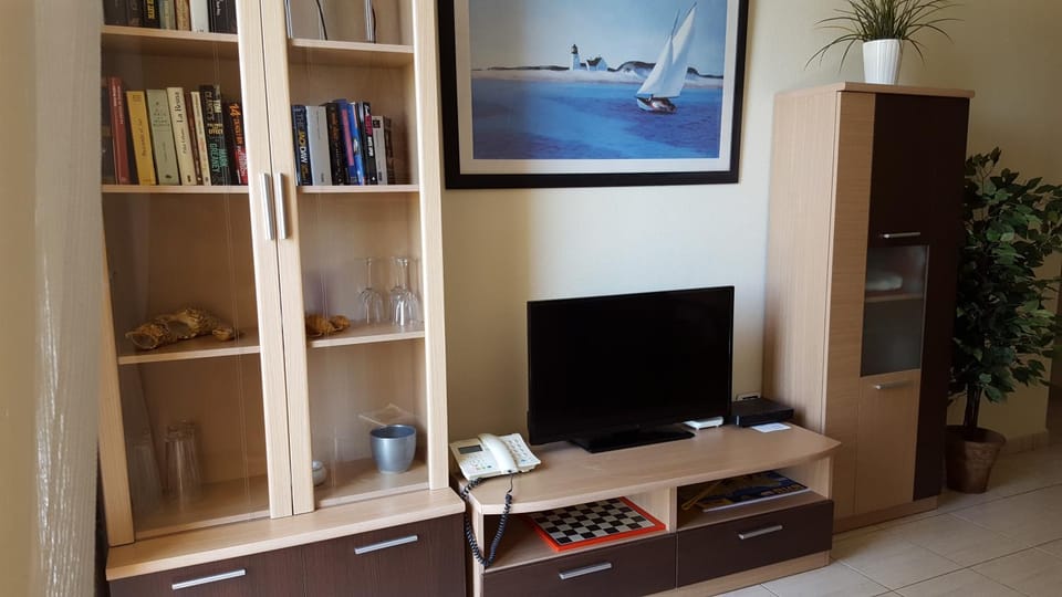 TV and multimedia