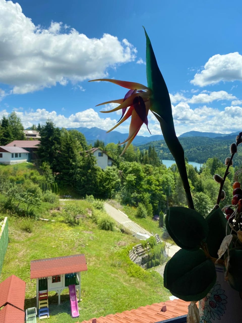 Poarta Călimanilor Bed and Breakfast in Romania