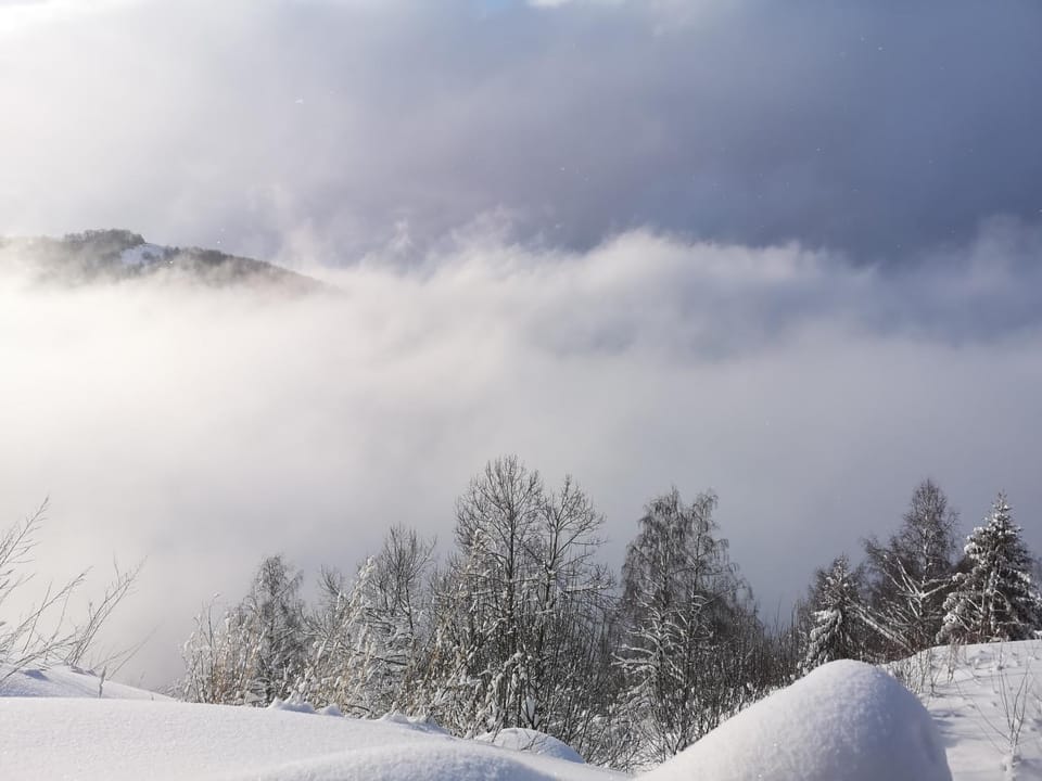 Natural landscape, Winter