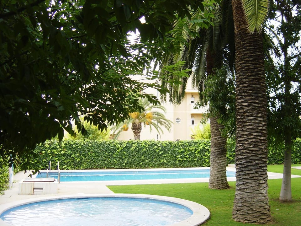 Garden, Garden view, Pool view, Swimming pool