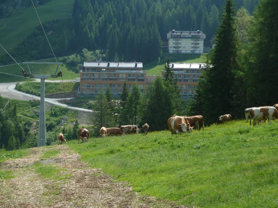 Facade/entrance, View (from property/room), Area and facilities, Drinks