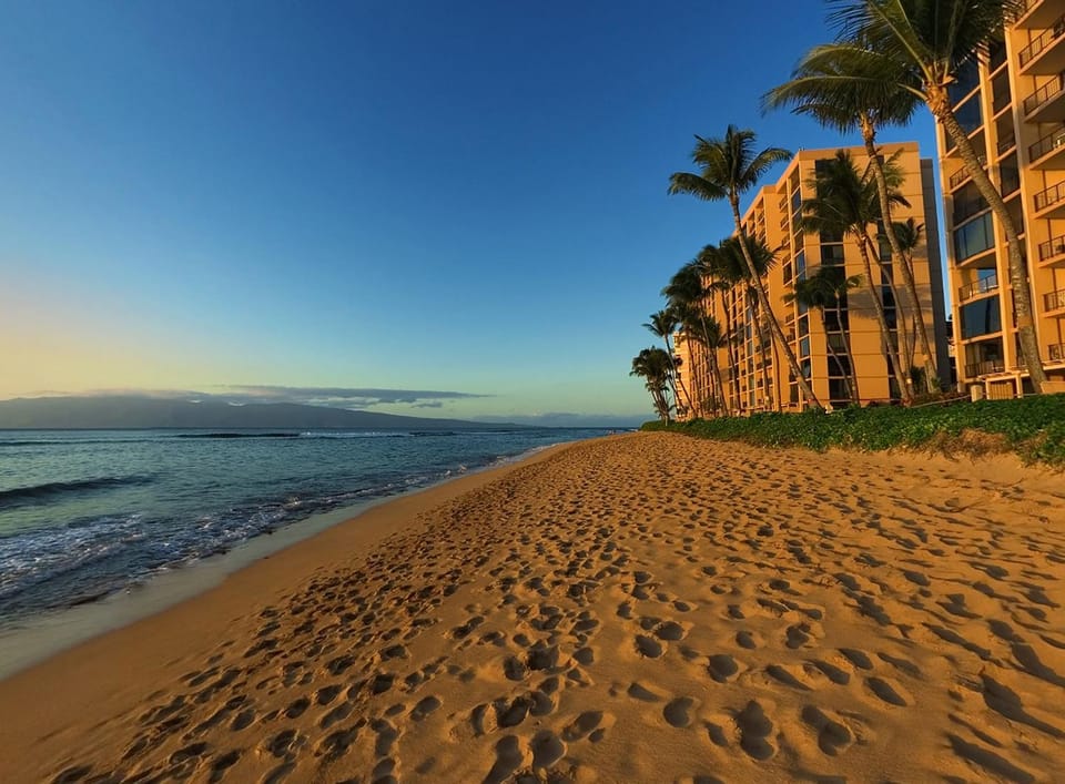 Property building, Day, Beach, Sea view