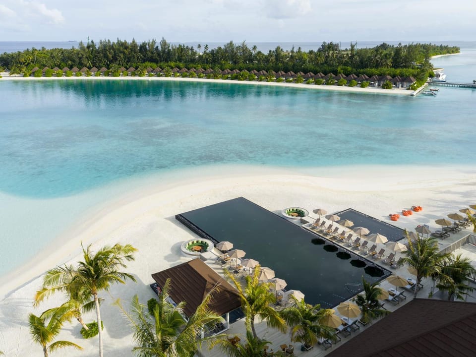 Lounge or bar, Food and drinks, Swimming pool