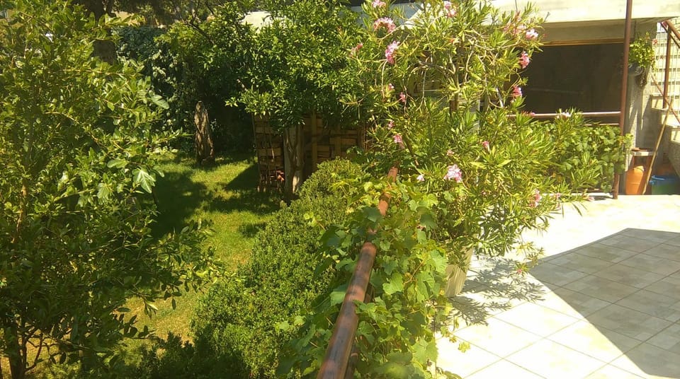 Patio, BBQ facilities, Garden, Balcony/Terrace, Garden view