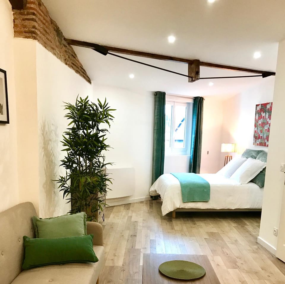 Magnifiques Appartements Hyper Centre Apartment in Nantes