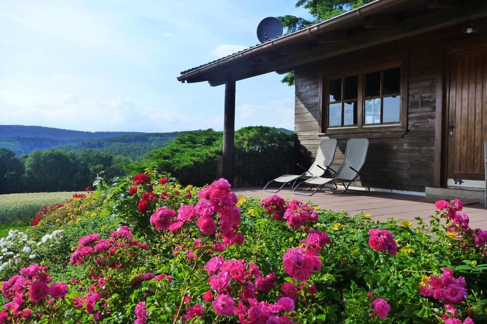 Balcony/Terrace, Mountain view