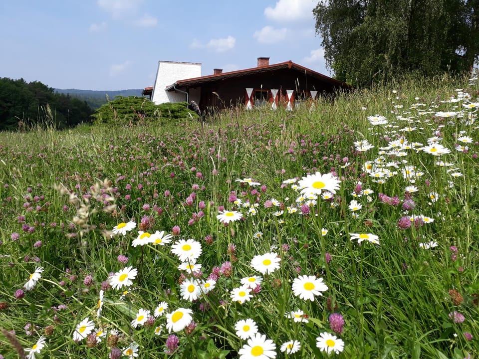 Property building, Garden, Garden