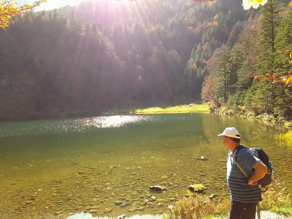 Lake view