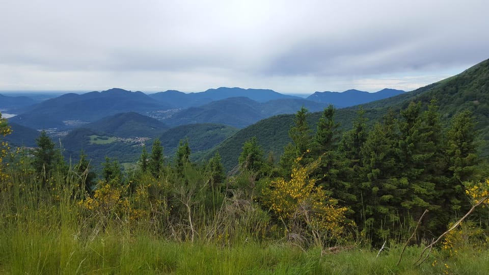 Natural landscape