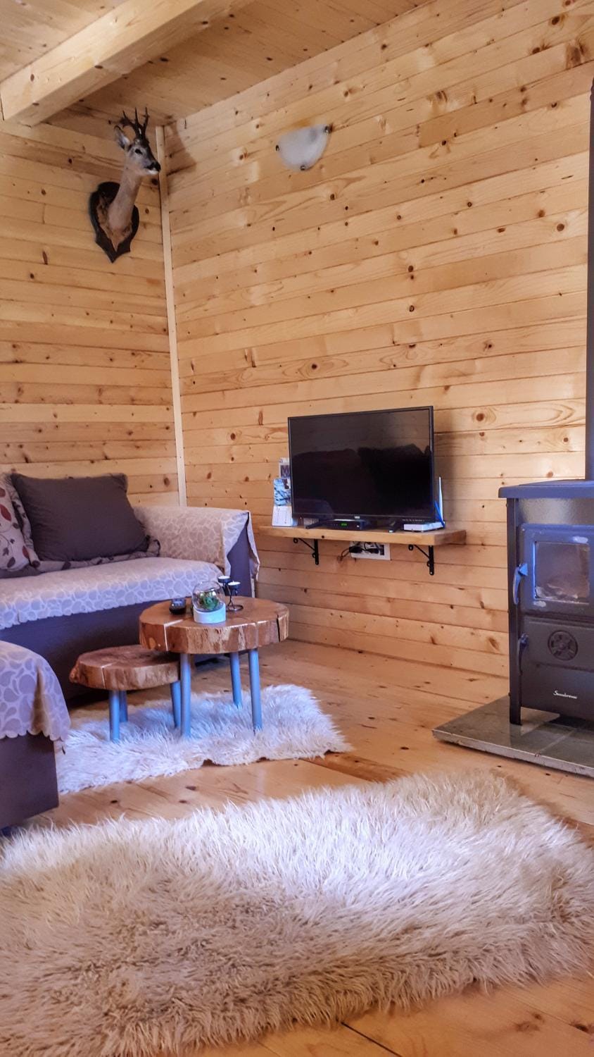 Brvnara Borovik Nature lodge in Montenegro