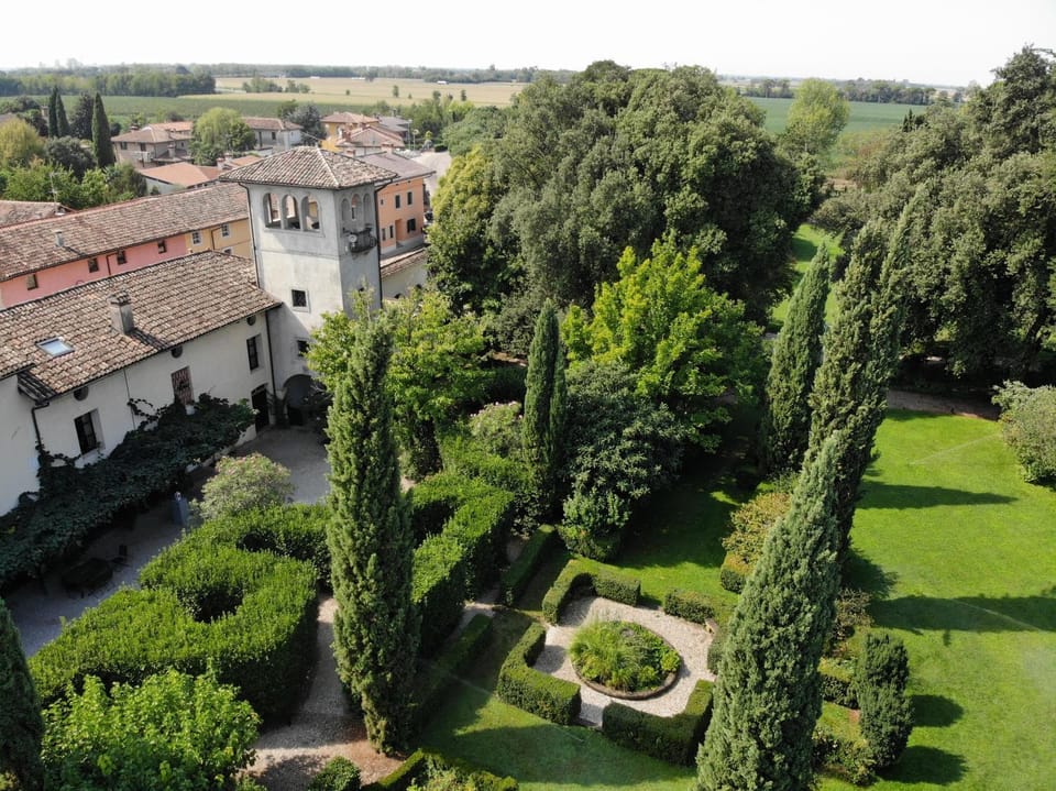 Bird's eye view, Garden view