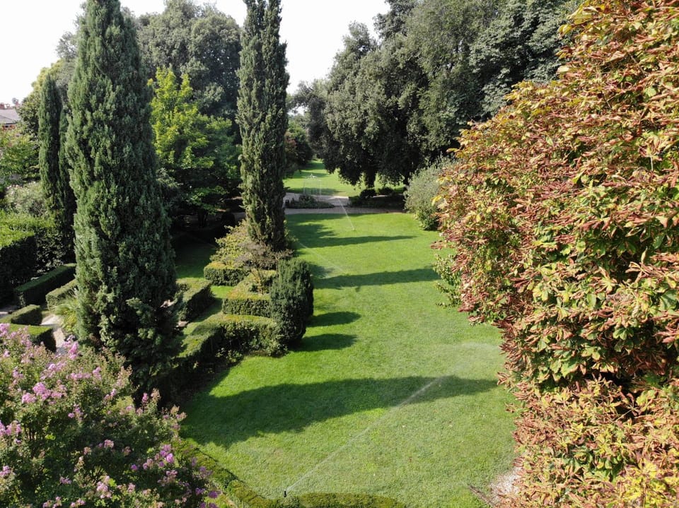 Bird's eye view, Garden view