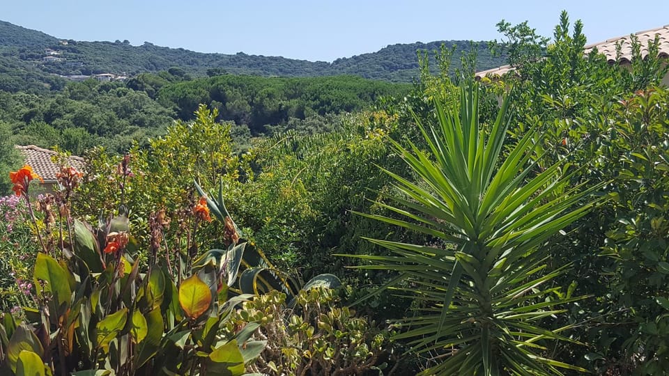 Garden, Mountain view