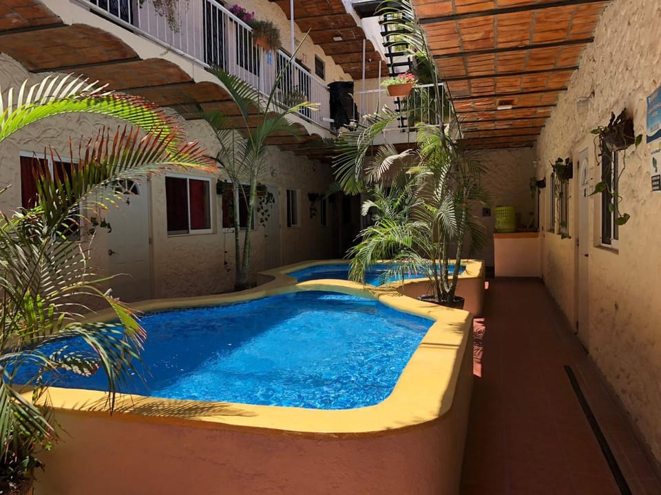 Swimming pool, Swimming pool