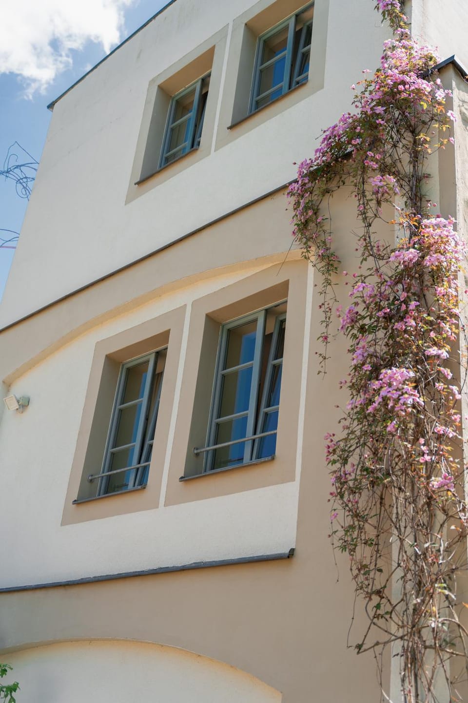 Property building, Garden