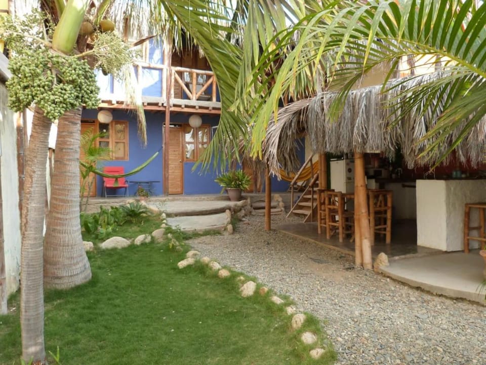 Patio, Garden