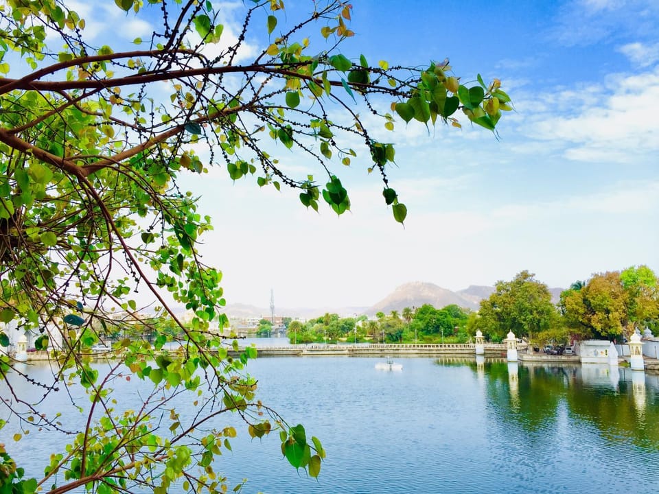 Lake view