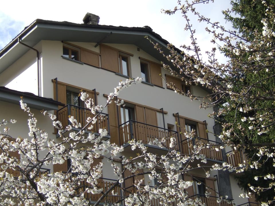 Hotel Valdigne Hotel in Morgex