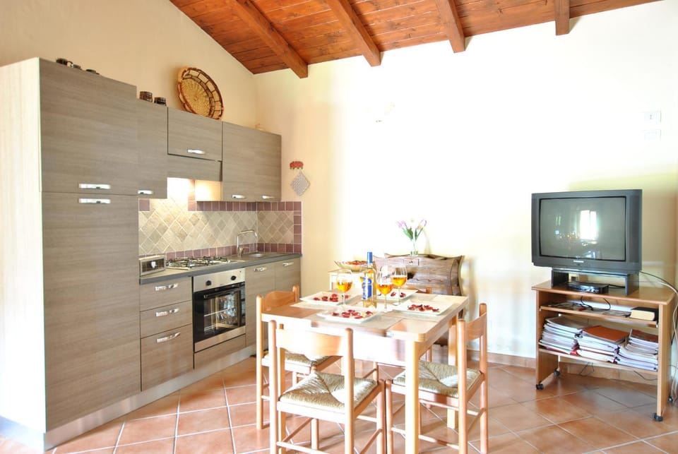Kitchen or kitchenette, Dining area, oven, stove