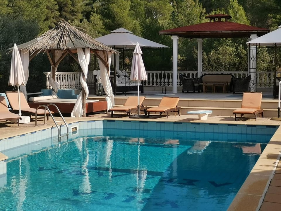 Pool view, Swimming pool, sunbed