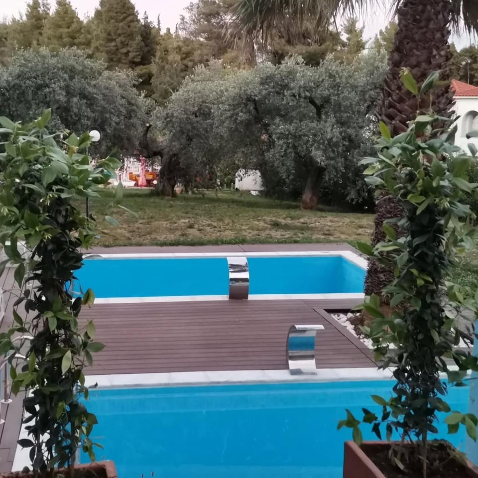 Spring, Natural landscape, Garden, Garden view