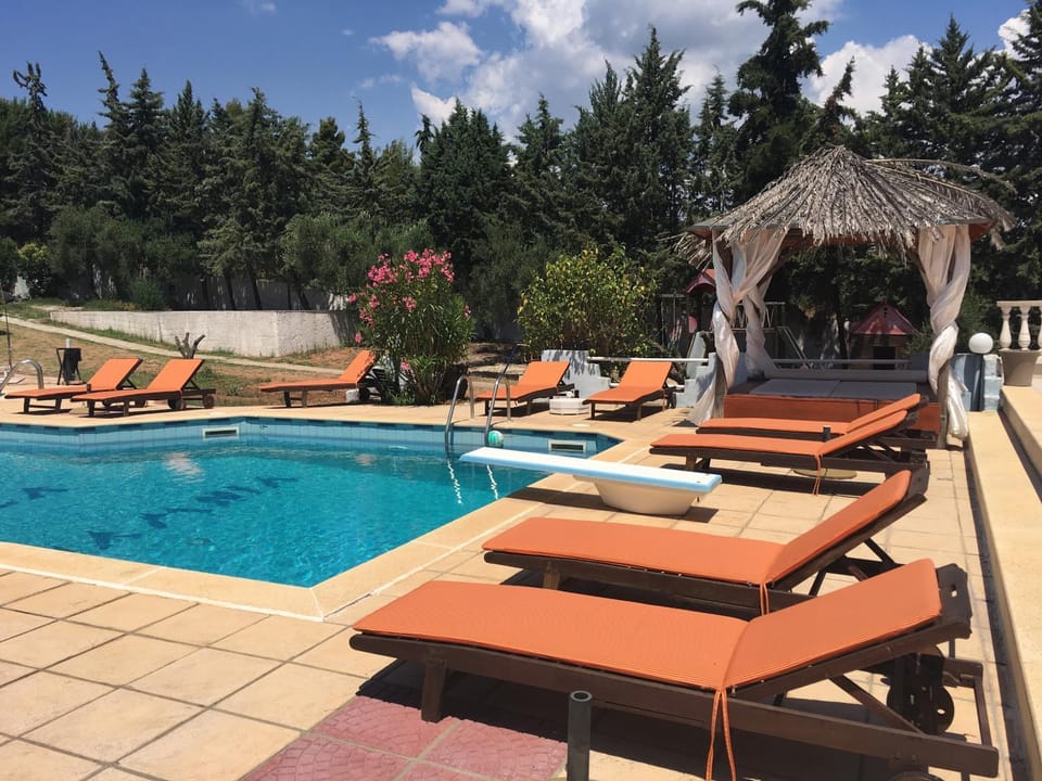 Patio, Spring, Balcony/Terrace, Other, Decorative detail, Garden view, Pool view, Swimming pool, sunbed