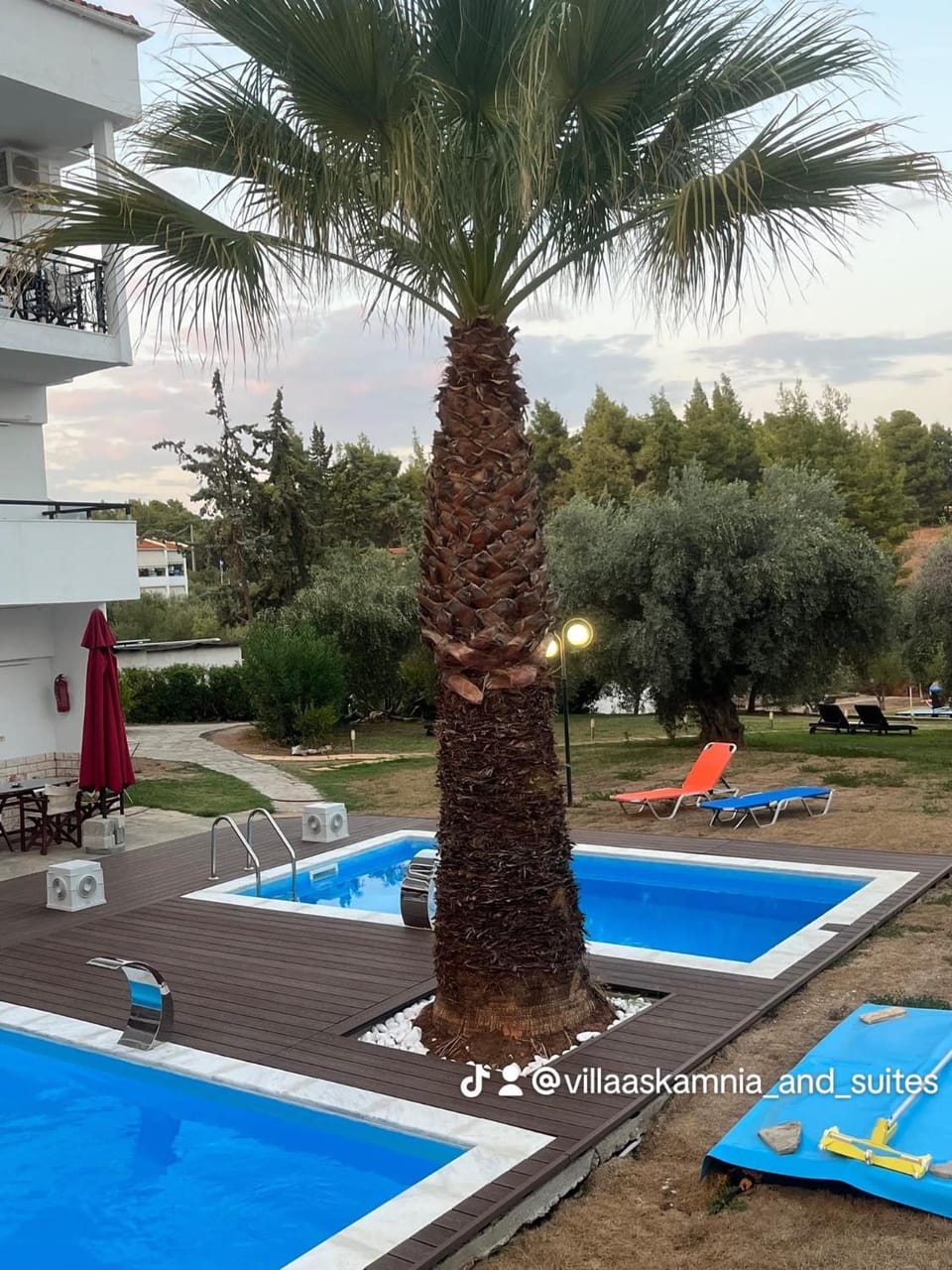 Garden, Garden view, Pool view, Swimming pool, Swimming pool, sunbed