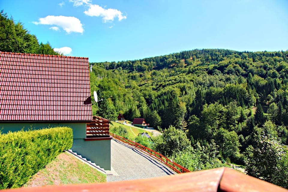 Balcony/Terrace, Garden view